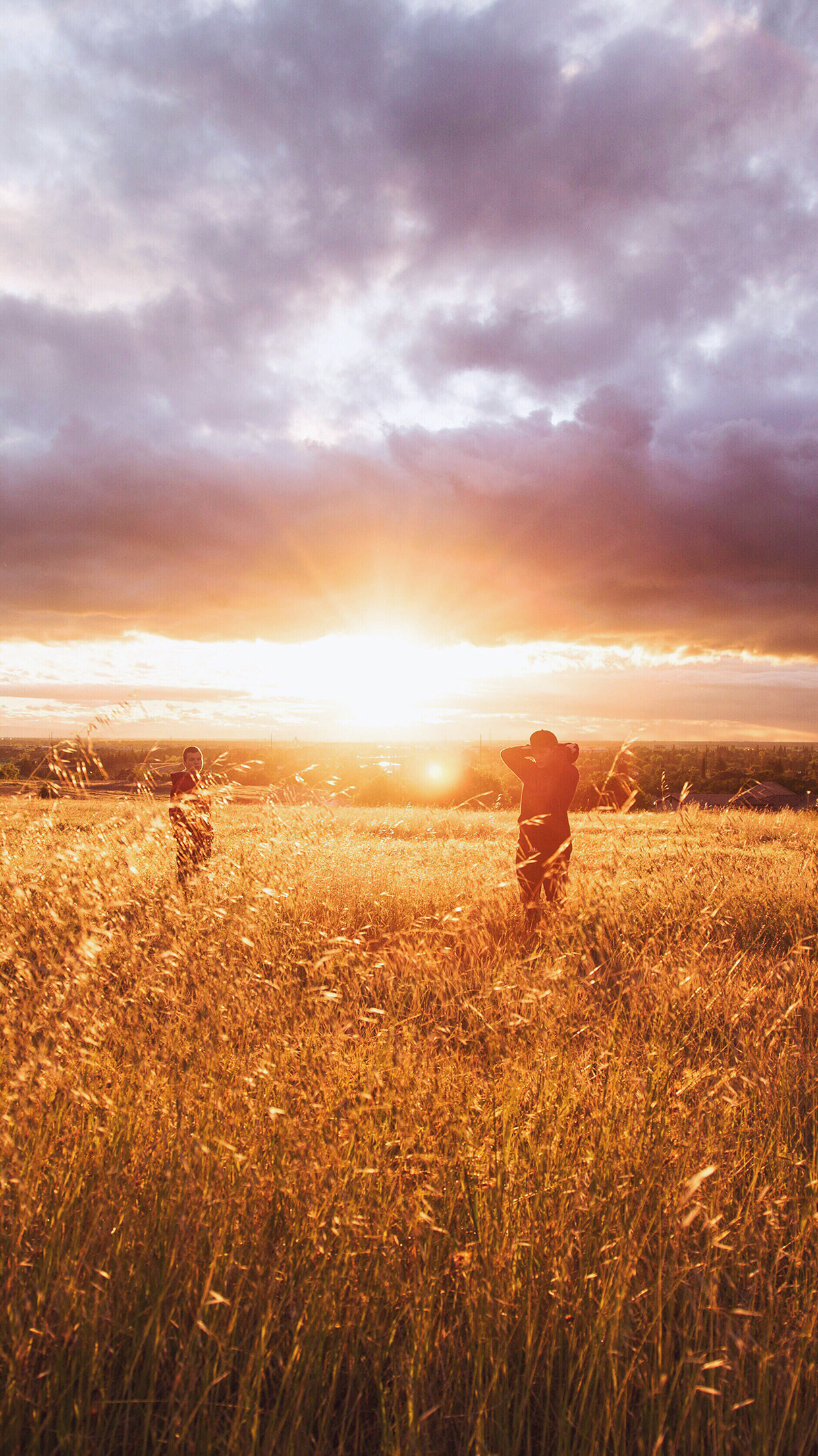 Dawn Sunset People Field Grass Nature Yellow