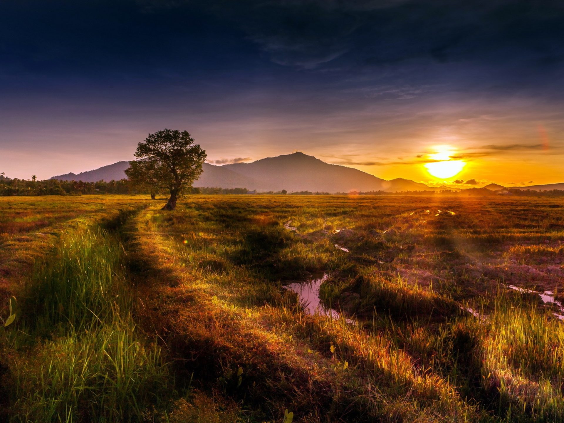 Natural Landscape, Sunset, Trees, Hills, Grass, Streams Wallpaper 2560x1600, Wallpaper13.com