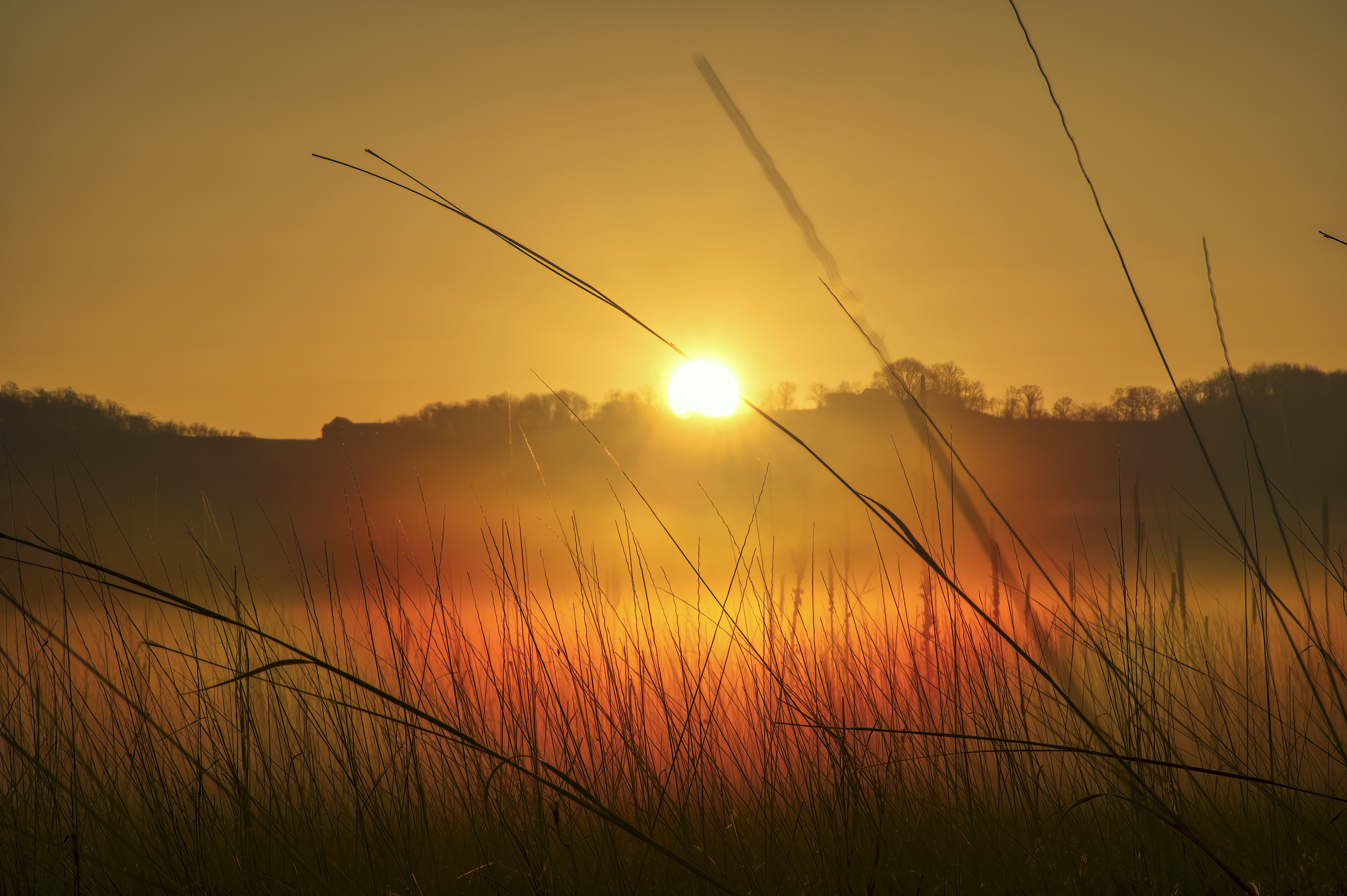 Brown and Green Grass Field during Sunset · Free