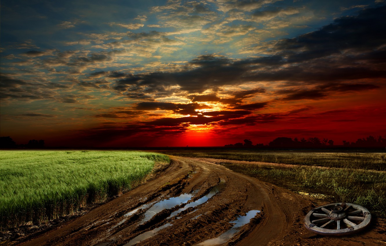 Wallpaper road, field, the sky, grass, sunset, dirt, sky, landscape, nature, sunset image for desktop, section природа