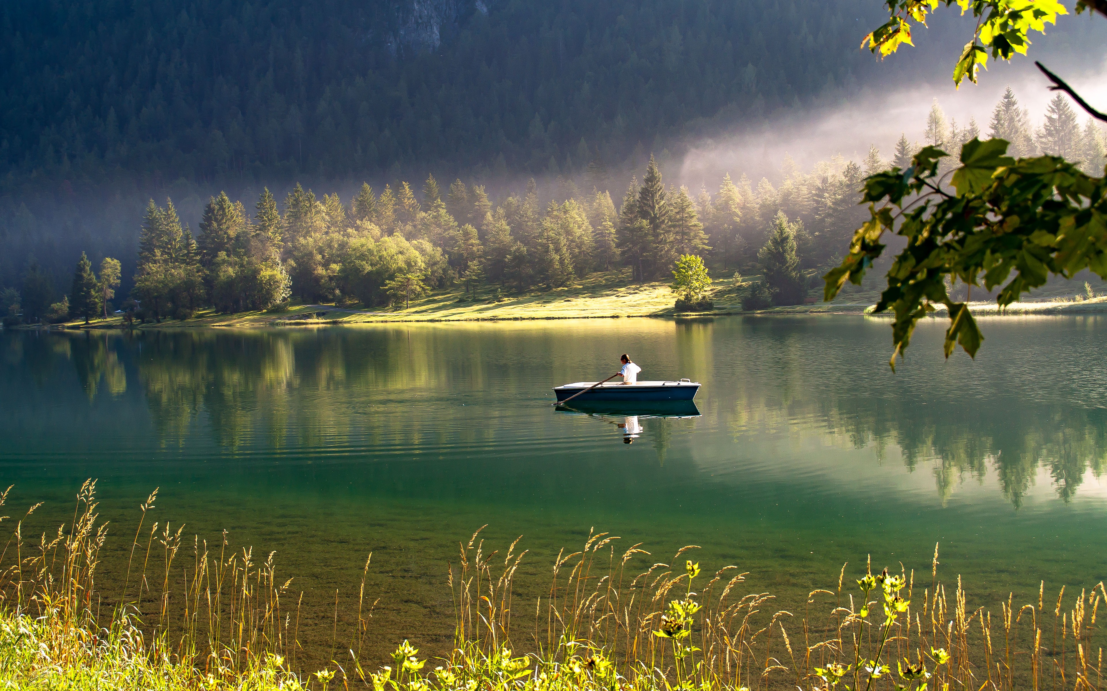 Spring Jungle Green Lake Boat Reflection Sunlight