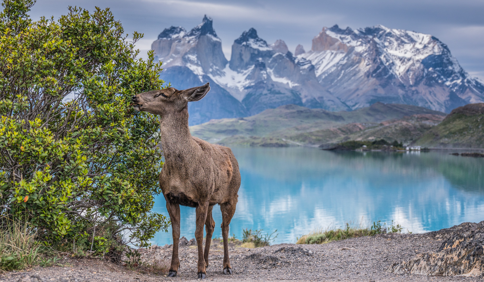 Insane Picture of Torres del Paine You'll Only See on Instagram