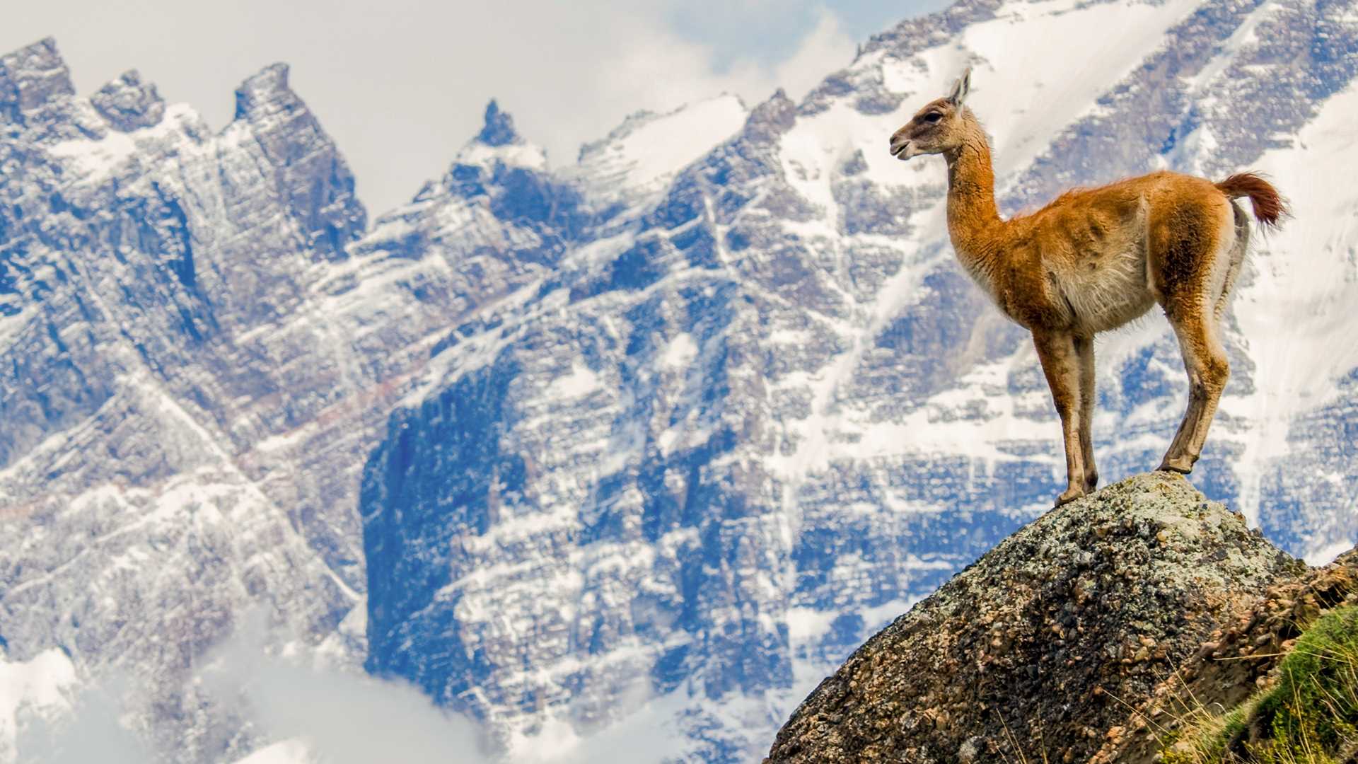 Patagonia Adventure Cruise. Patagonian Travel Package