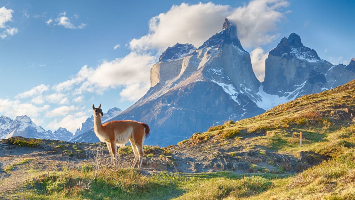 Patagonia Tours. Best Luxury Patagonia Tours & Travel Packages