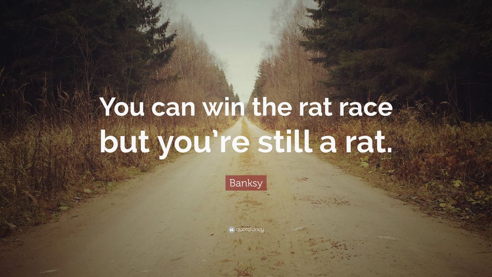 Banksy Quote: “You can win the rat race but you're still a rat.”