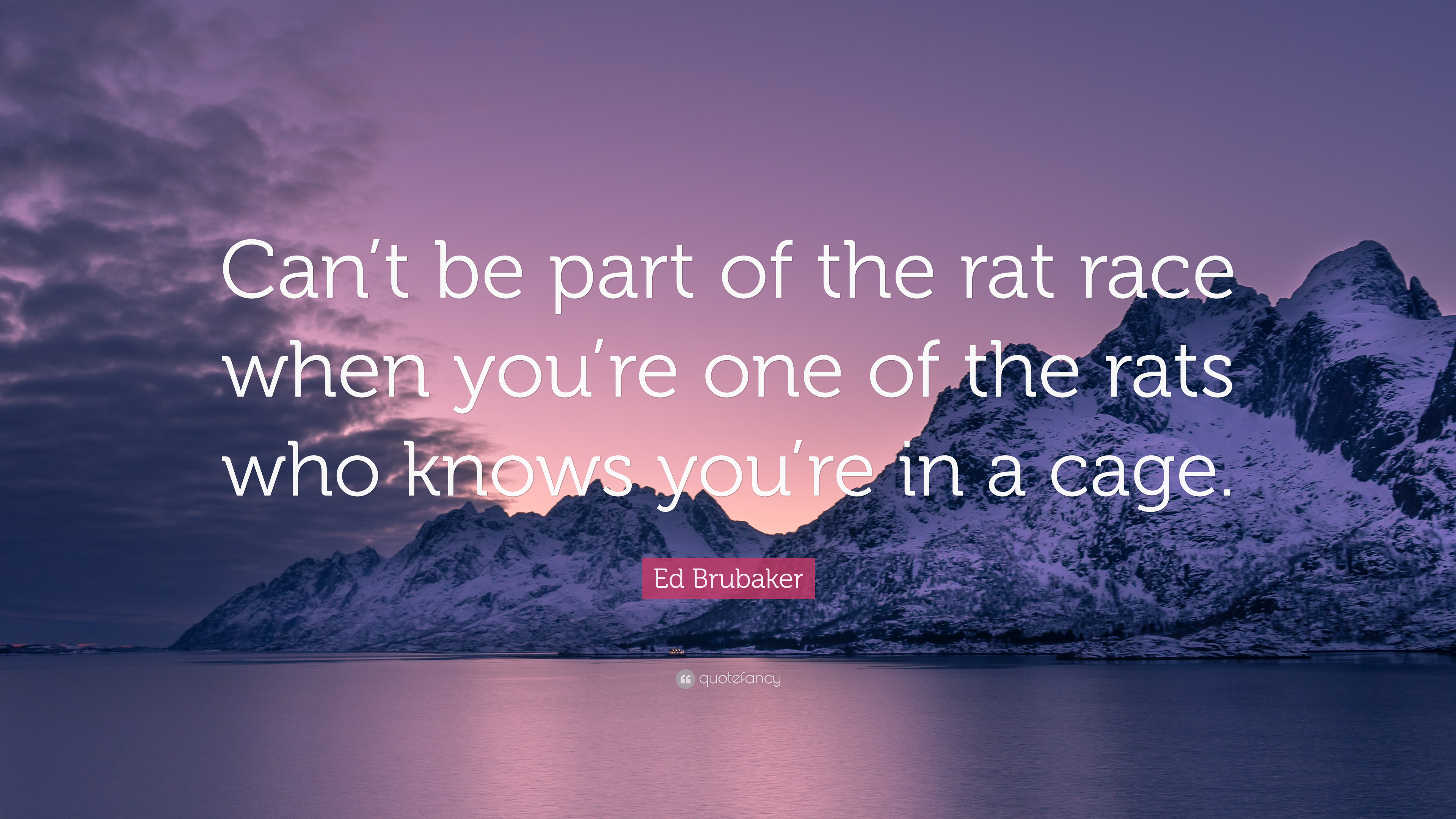 Ed Brubaker Quote: “Can't be part of the rat race when you're one of