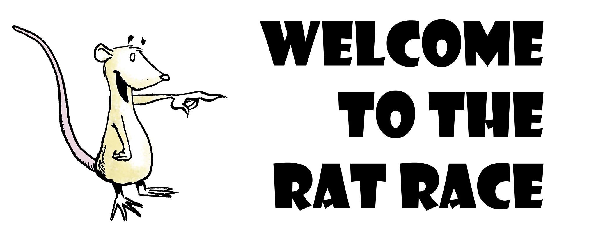 rat welcome