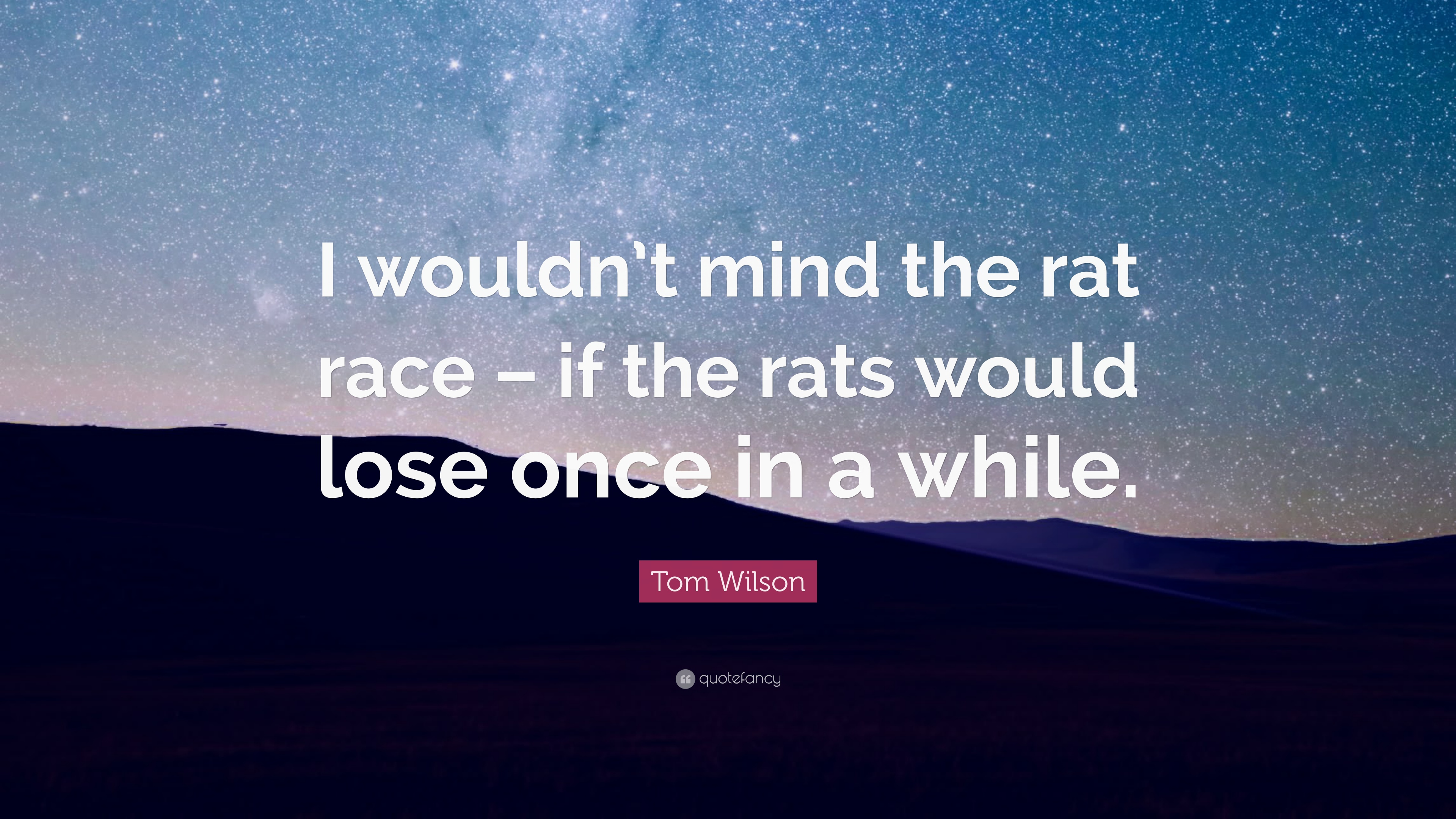 Tom Wilson Quote: “I wouldn't mind the rat race