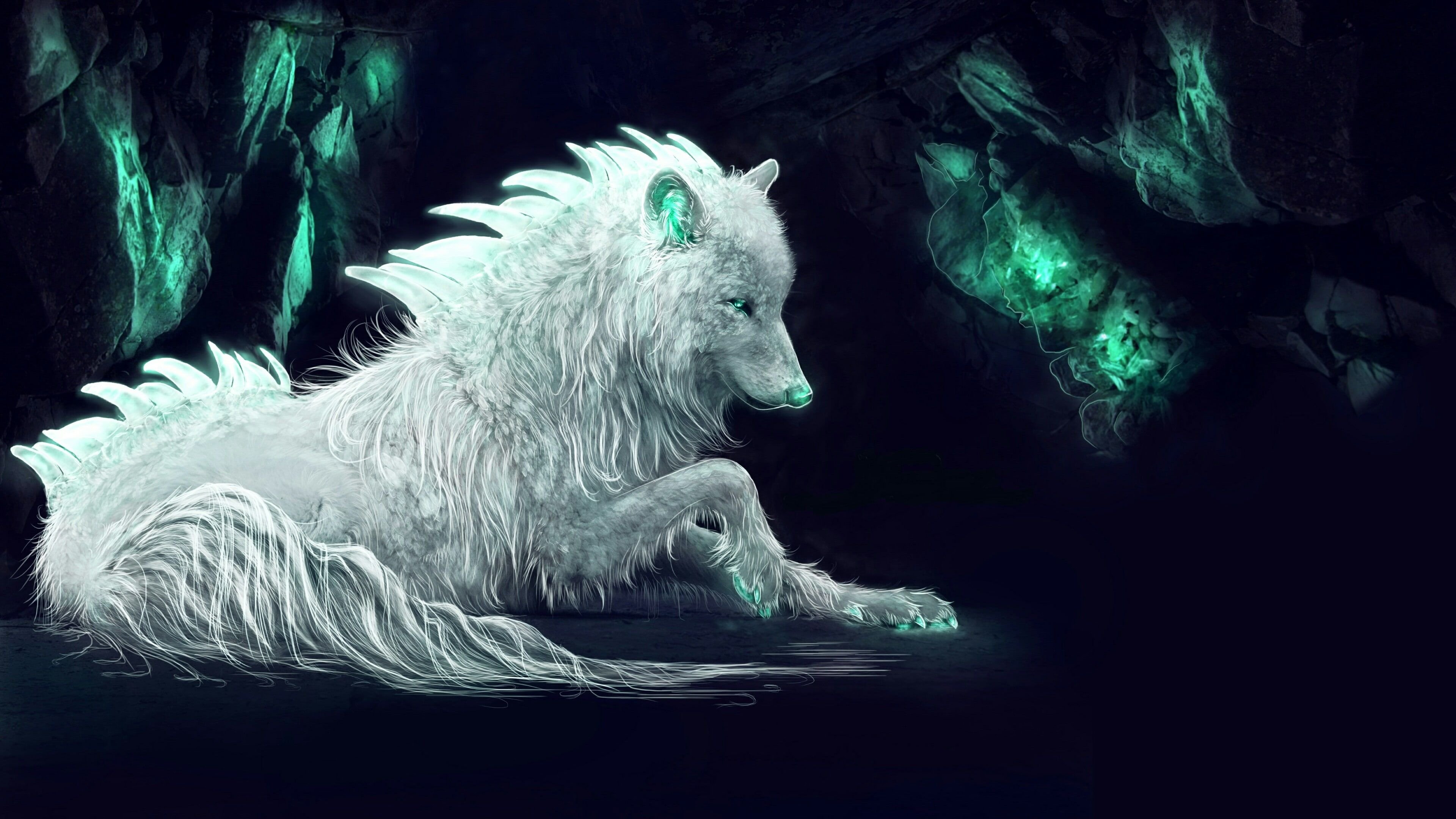 White Wolf Wallpaper and Background 4K, HD, Dual Screen