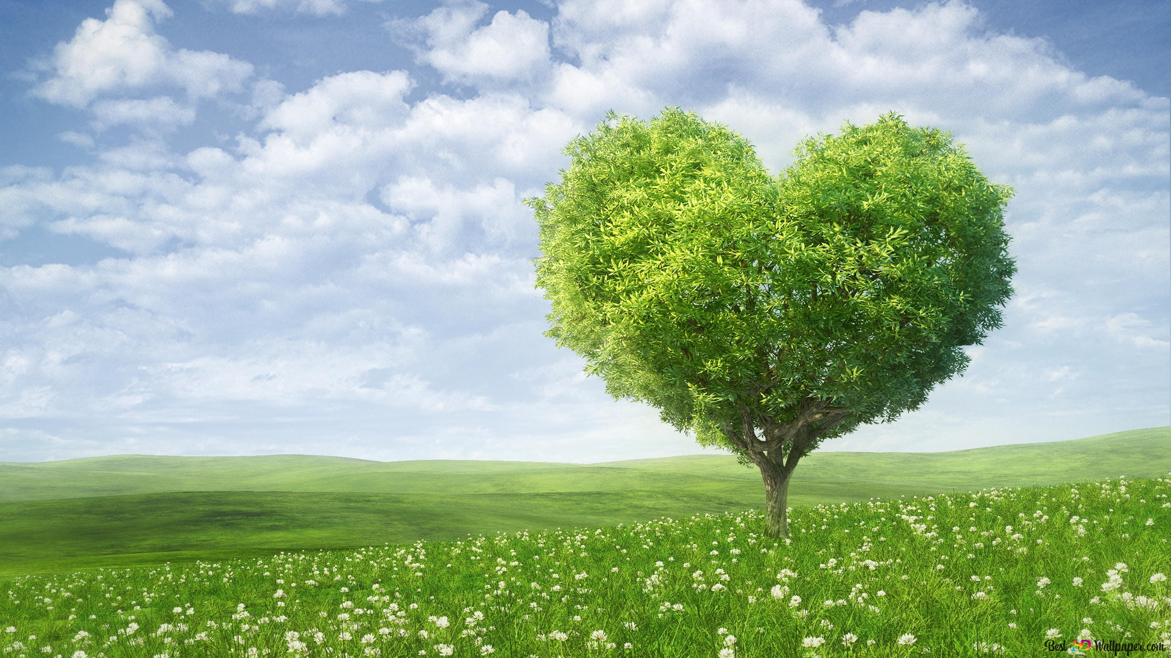 Valentine's day heart tree landscape 4K wallpaper download