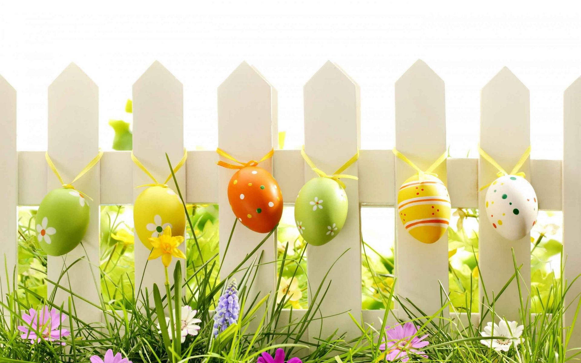Download Easter Eggs Hanging On White Fence Wallpaper