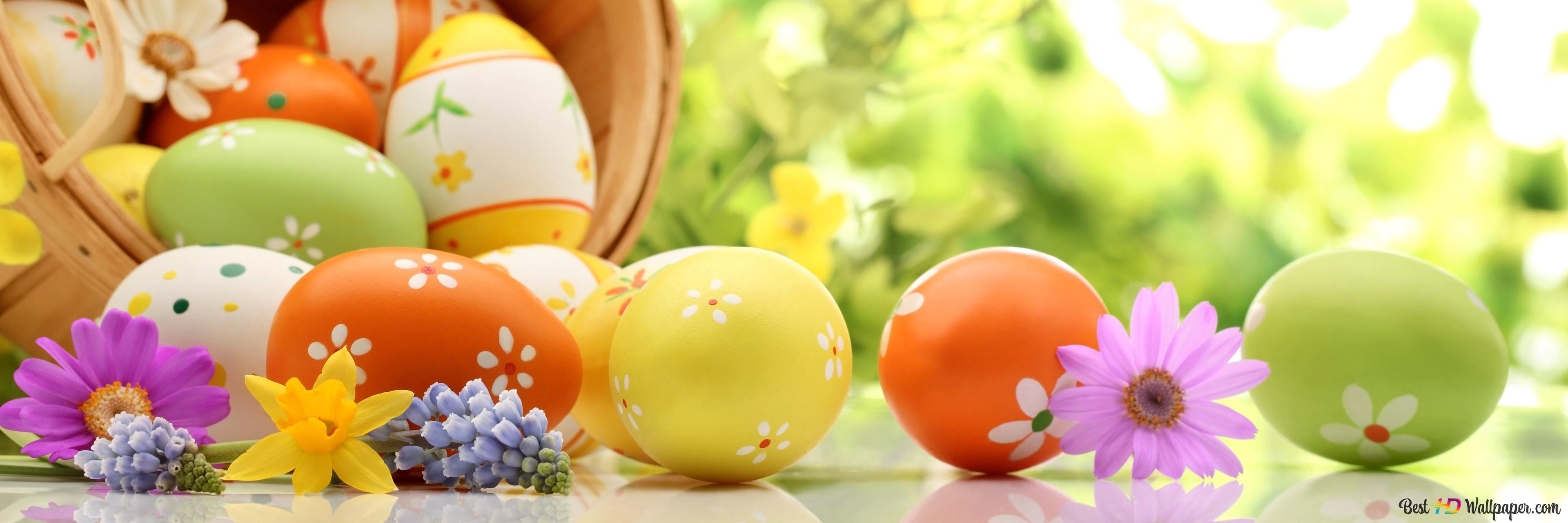 Easter colorful eggs 4K wallpaper download