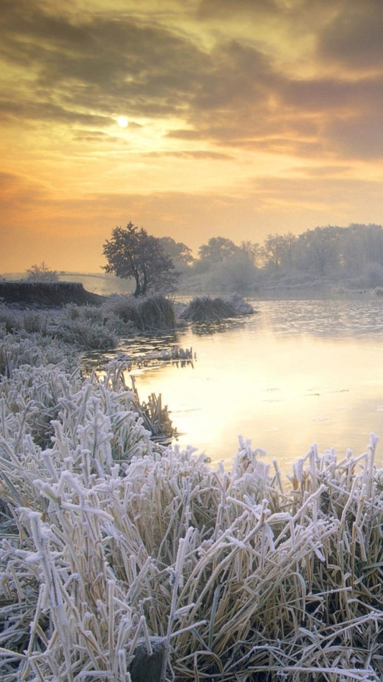 Wallpaper / Earth Winter Phone Wallpaper, Nature, Ice, Frost, Lake, England, 750x1334 free download