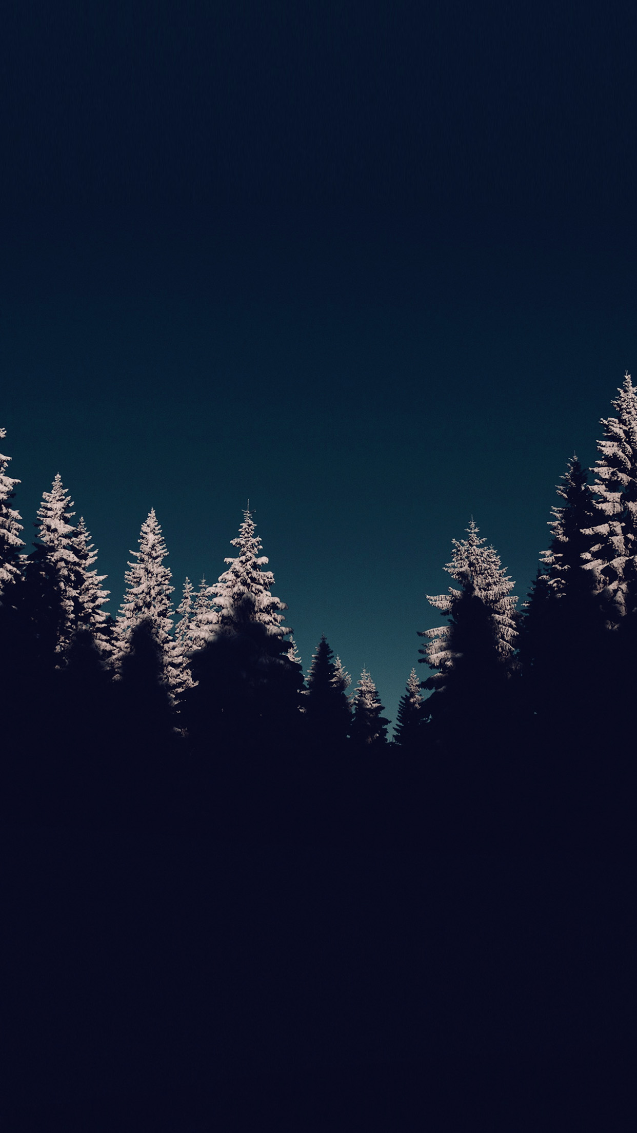 Wood Winter Night Mountain Blue Dark