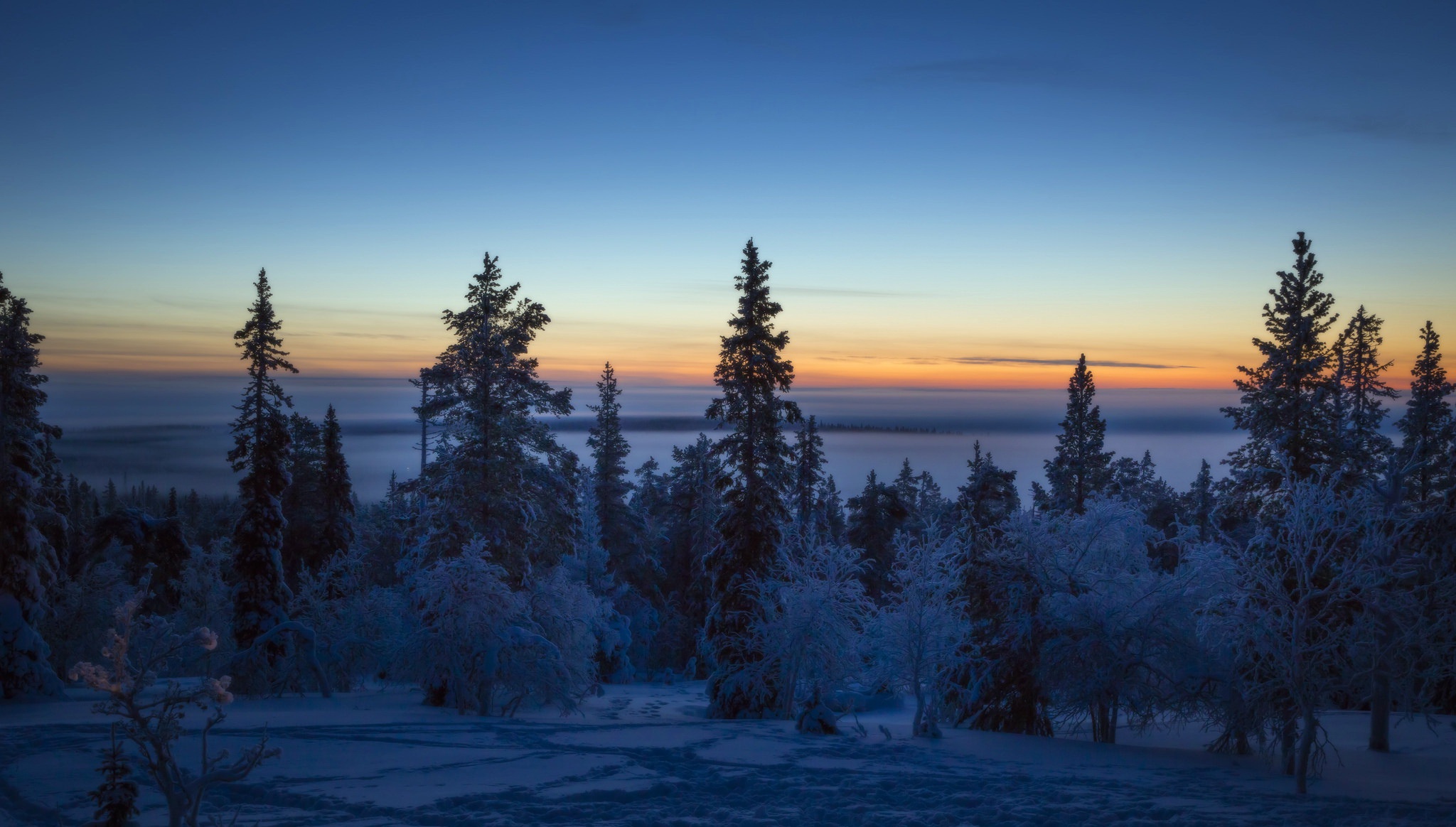 Wallpaper, dark, winter, sky, nature, landscape, trees 2048x1164