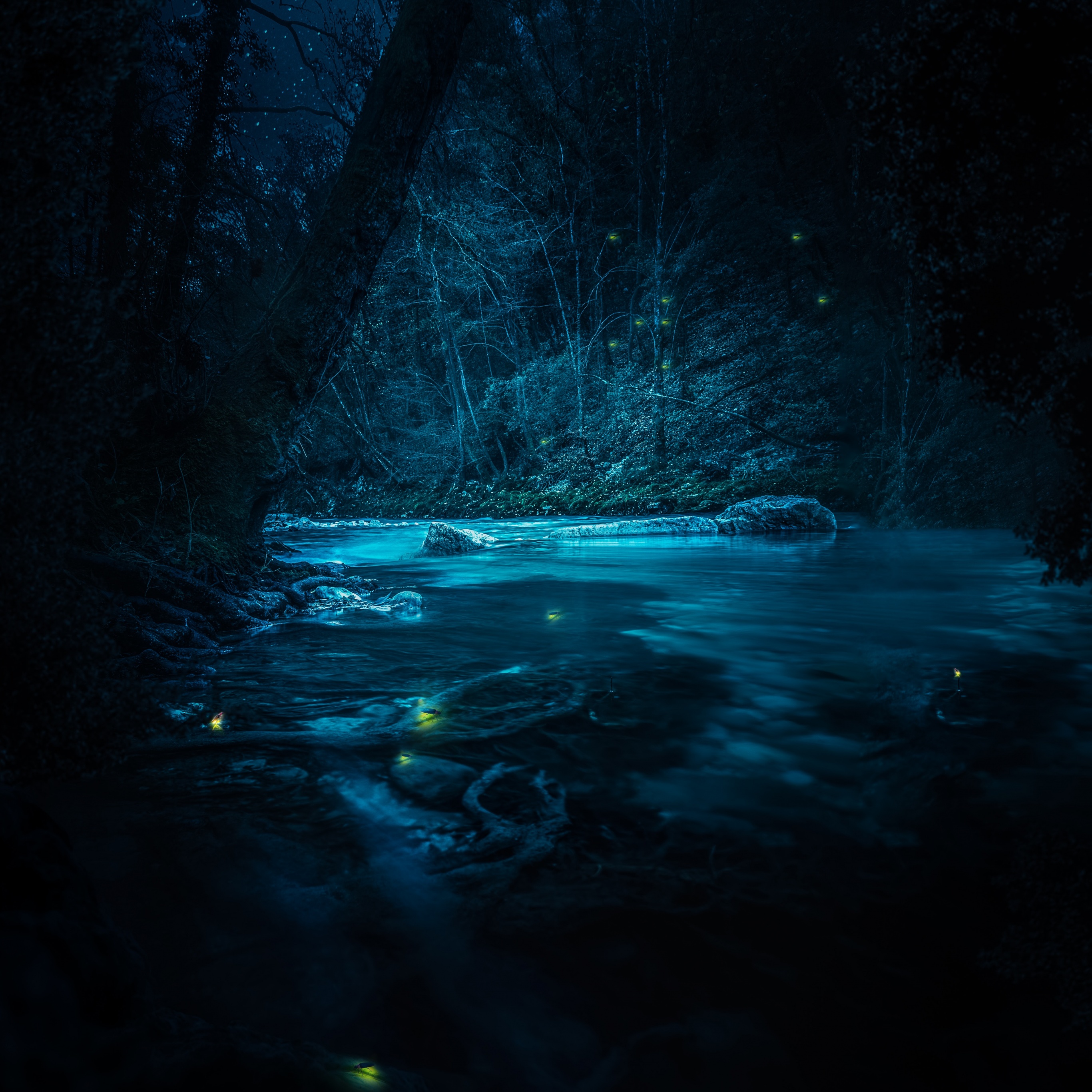 Forest Wallpaper 4K, River, Night, Dark