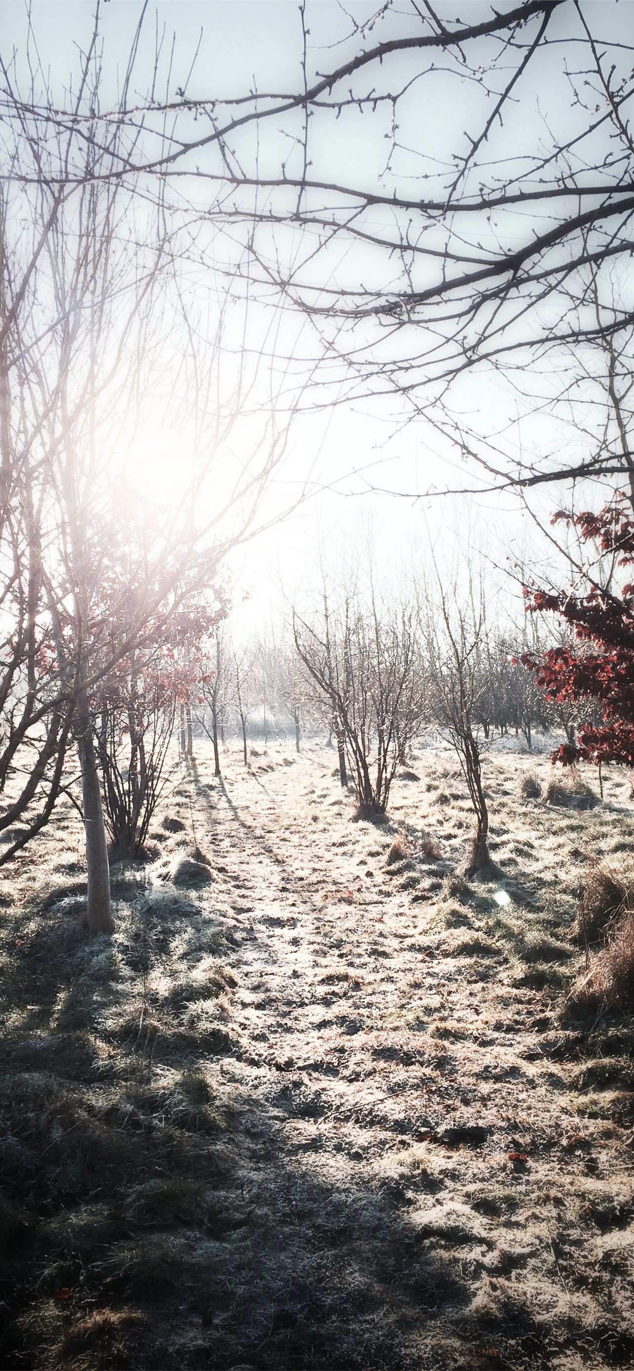 Best Uk iPhone HD Wallpaper