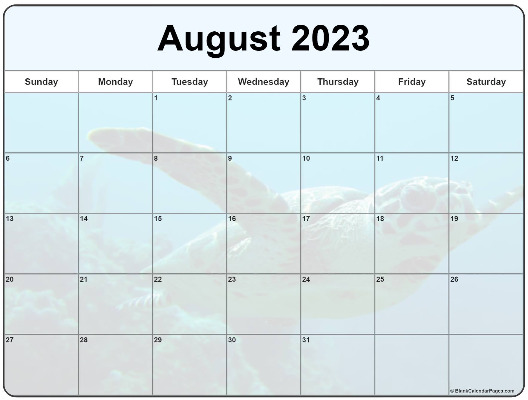 Collection of August 2023 photo calendars with image filters