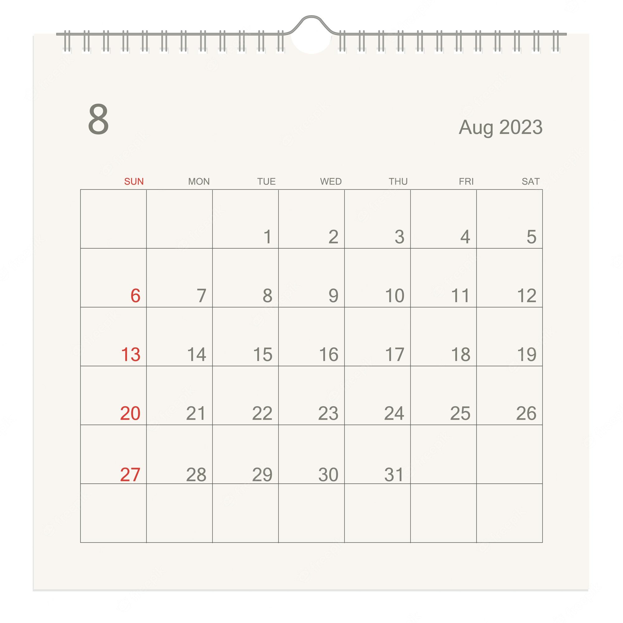 Premium Vector. August 2023 calendar page on white background calendar background for reminder business planning appointment meeting and event week starts from sunday vector