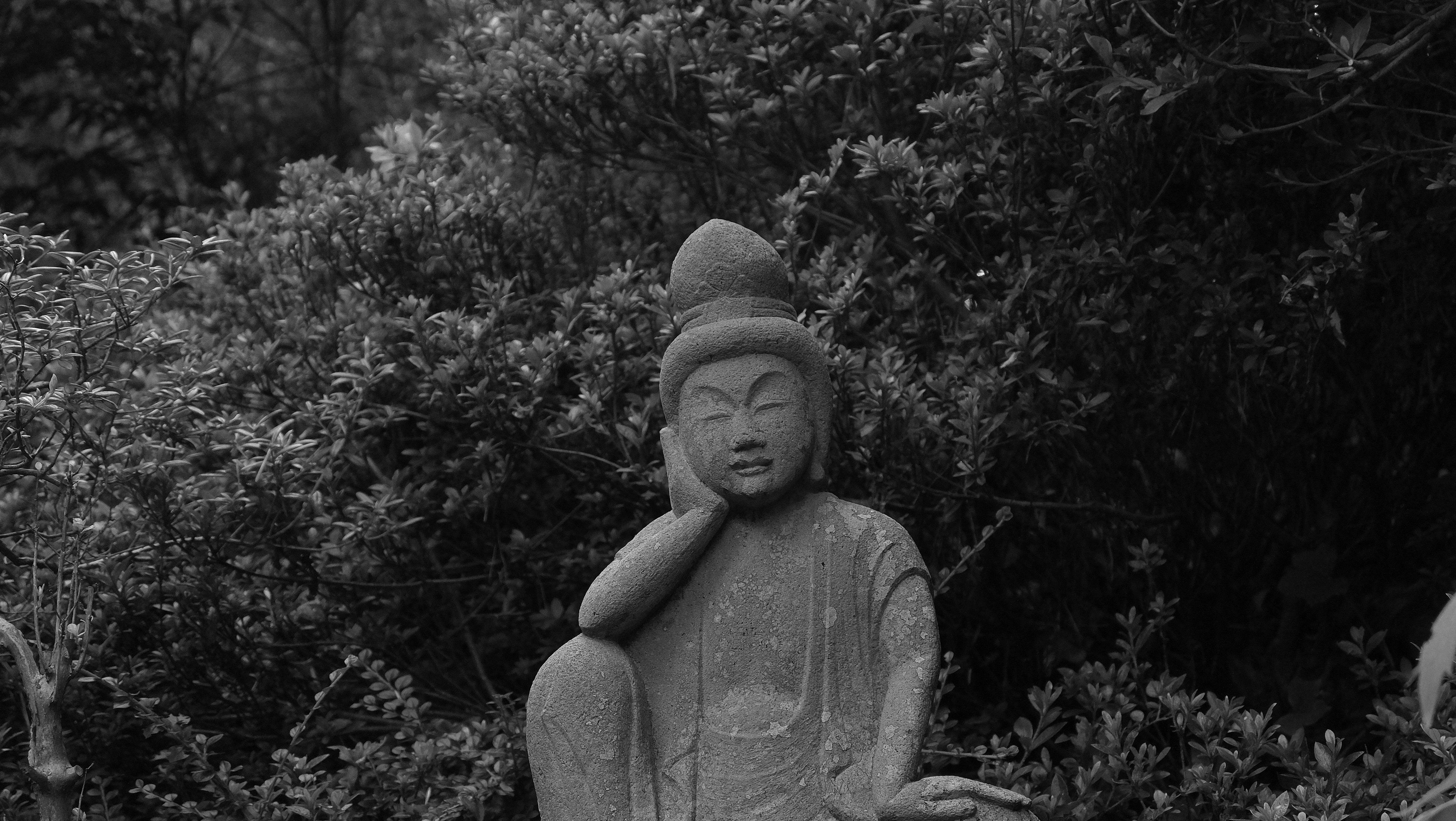 Buddha 4K wallpaper for your desktop or mobile screen free and easy to download