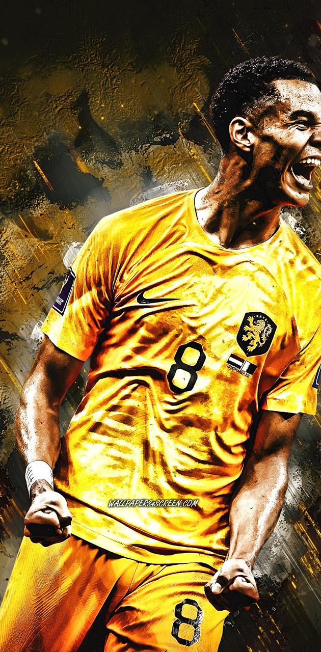 Cody Gakpo wallpaper