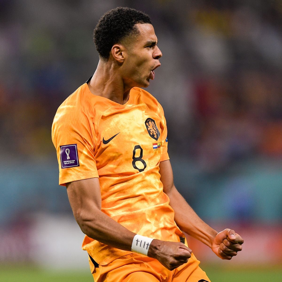 Cody Gakpo might have addressed biggest Manchester United concern at World Cup Flintham Evening News