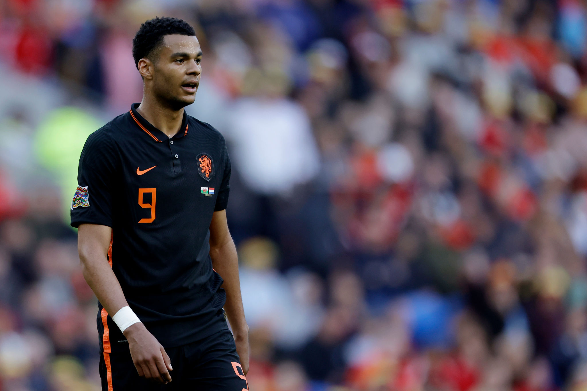 Cody Gakpo HD Wallpaper