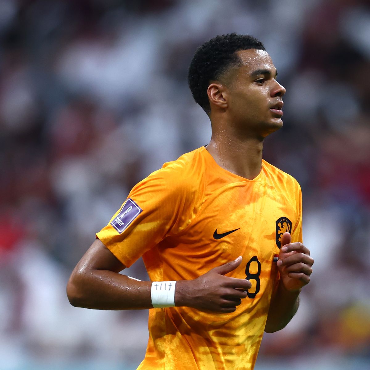 Louis van Gaal sends Cody Gakpo message to Manchester United amid transfer links Evans Evening News