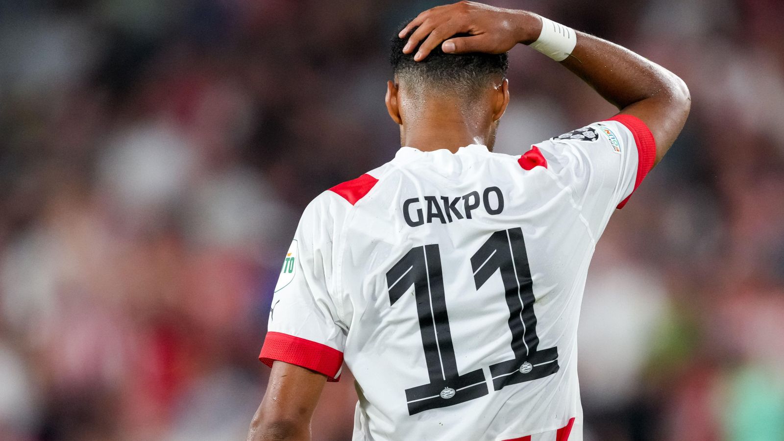 Gakpo told he is 'clearly not ready' for Man Utd transfer as 'monstrous striker operation' confirmed