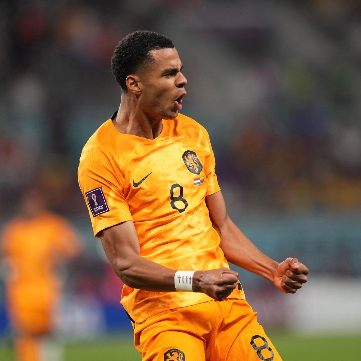 Manchester United 'agree deal in principle' for Cody Gakpo and more transfer rumours Evening News