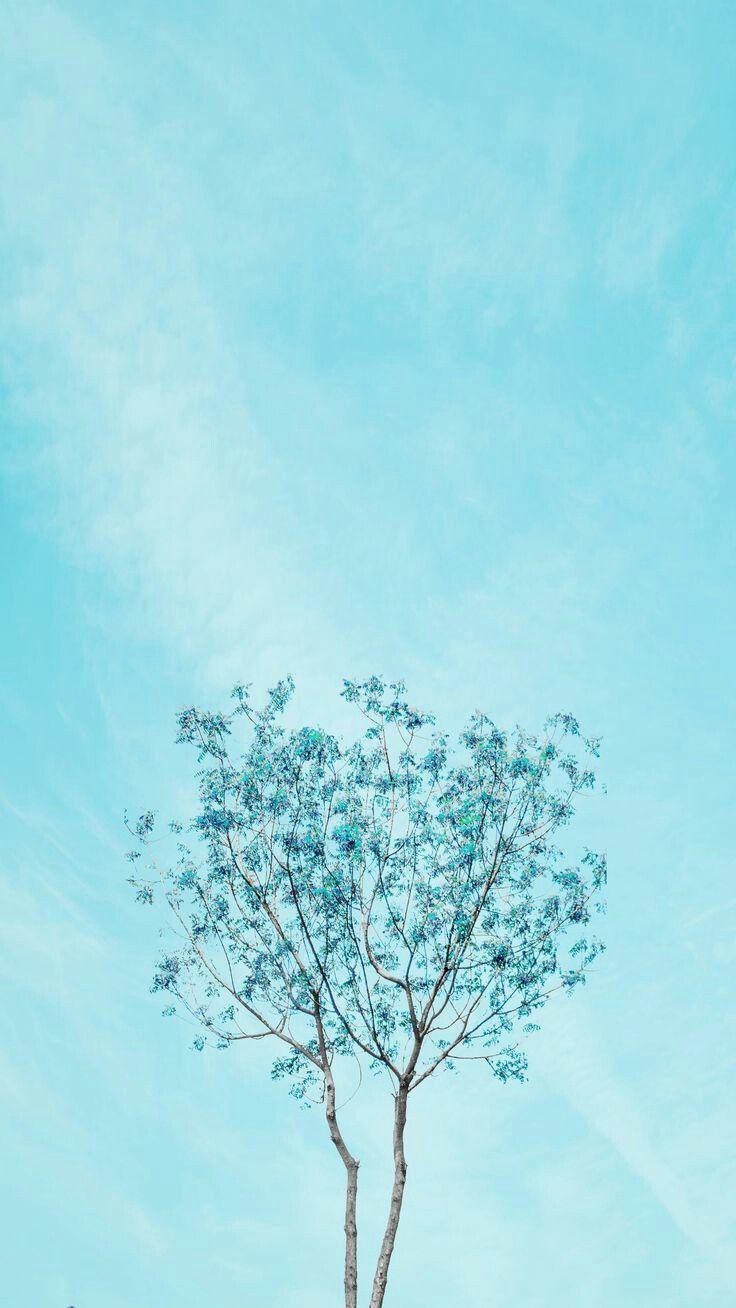 Pastel Blue Wallpaper Aesthetic