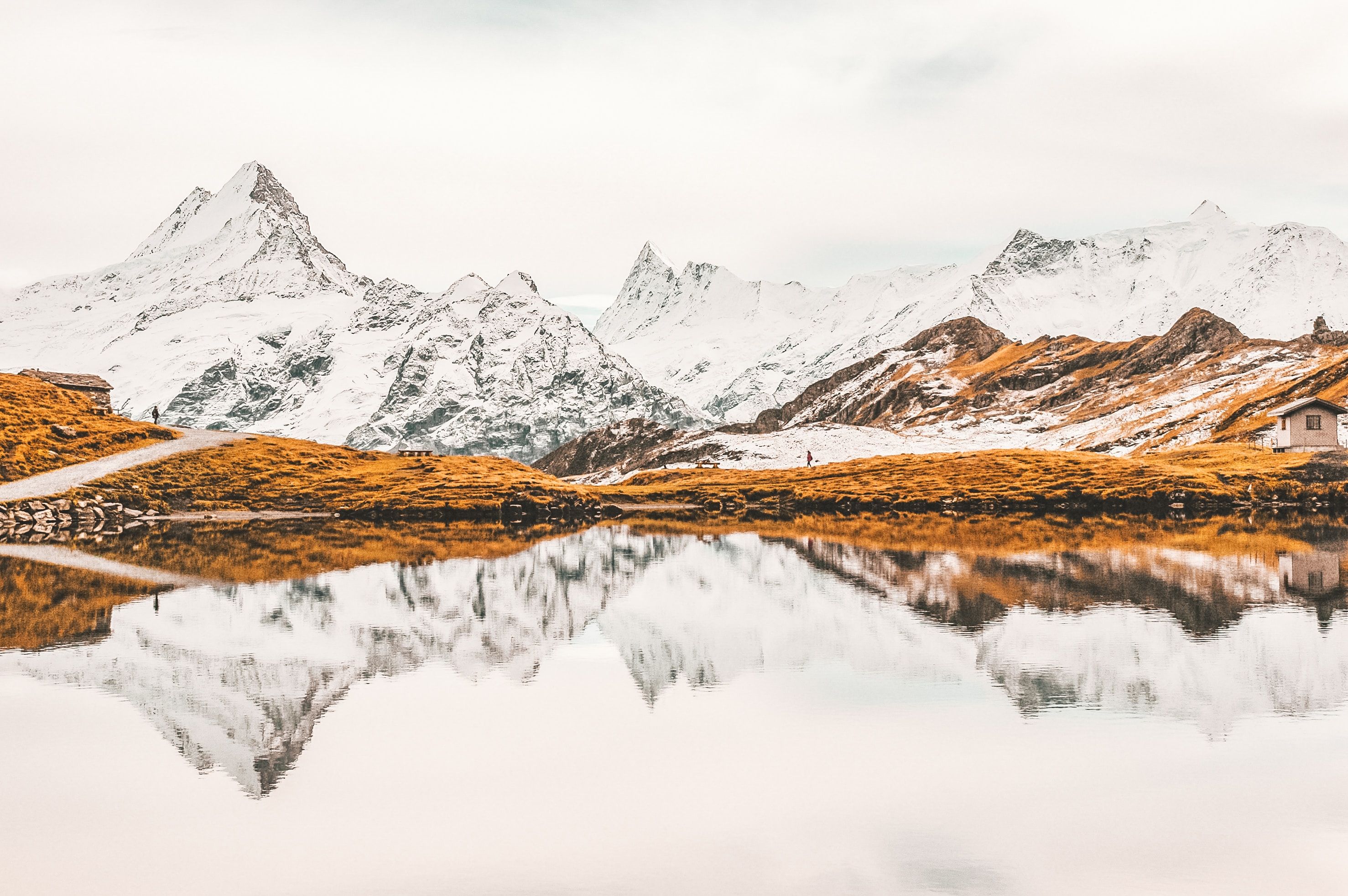 Grindelwald Switzerland (Photo credit to Raquel Garcia). Switzerland wallpaper, Nature wallpaper, Nature image