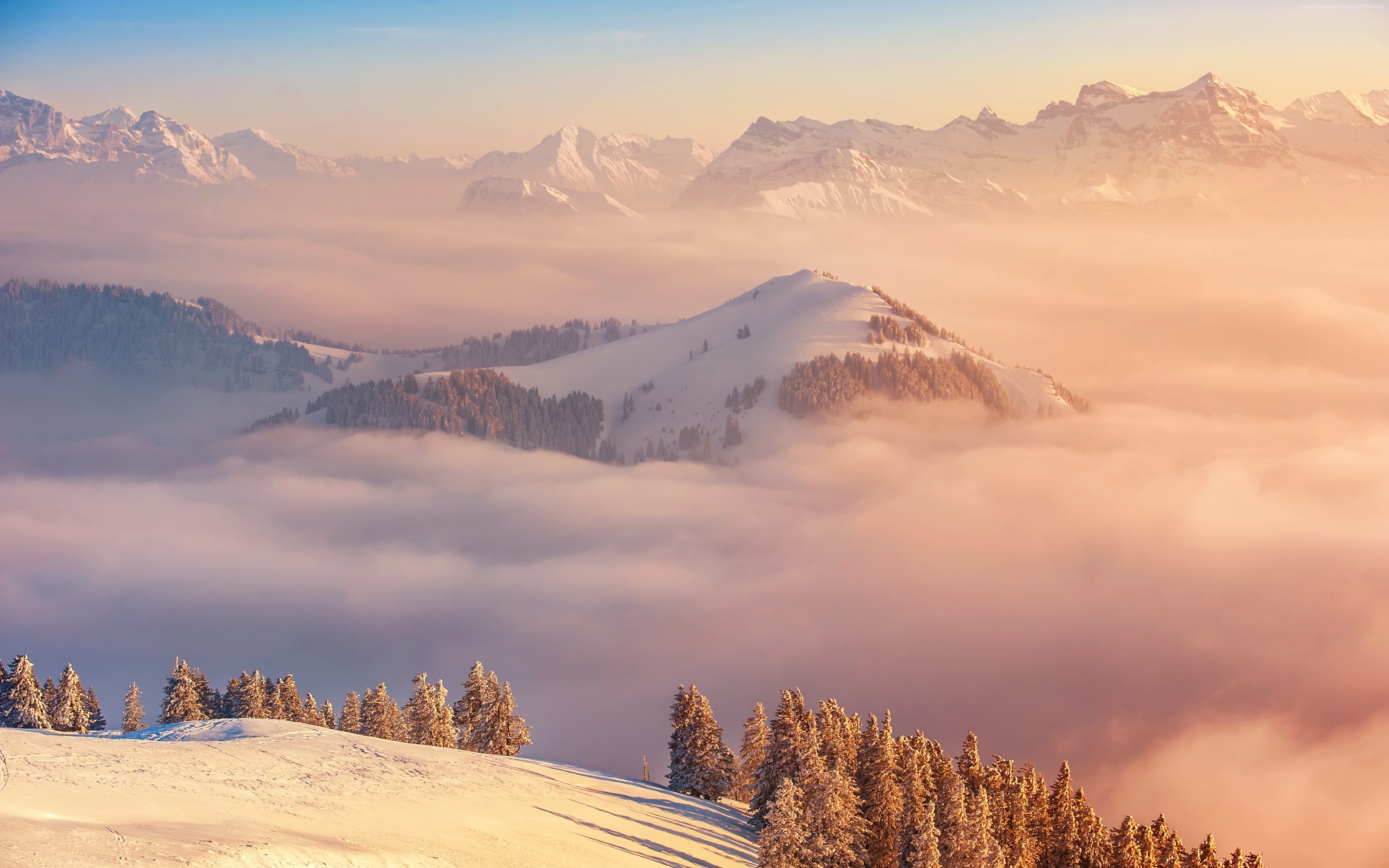 Switzerland, clouds, 4k, pines, mountains, 5k, Alps Gallery HD Wallpaper