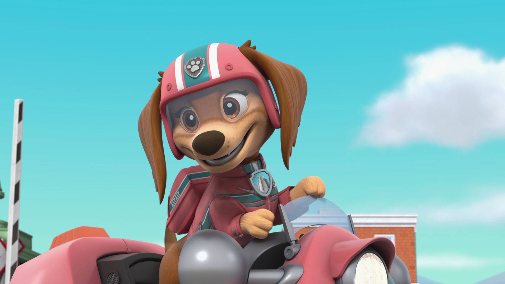 PAW Patrol Ep. 1 Makes A New Friend Pups Save The Pup Pup Boogie Contest Episode. Nick Jr. US