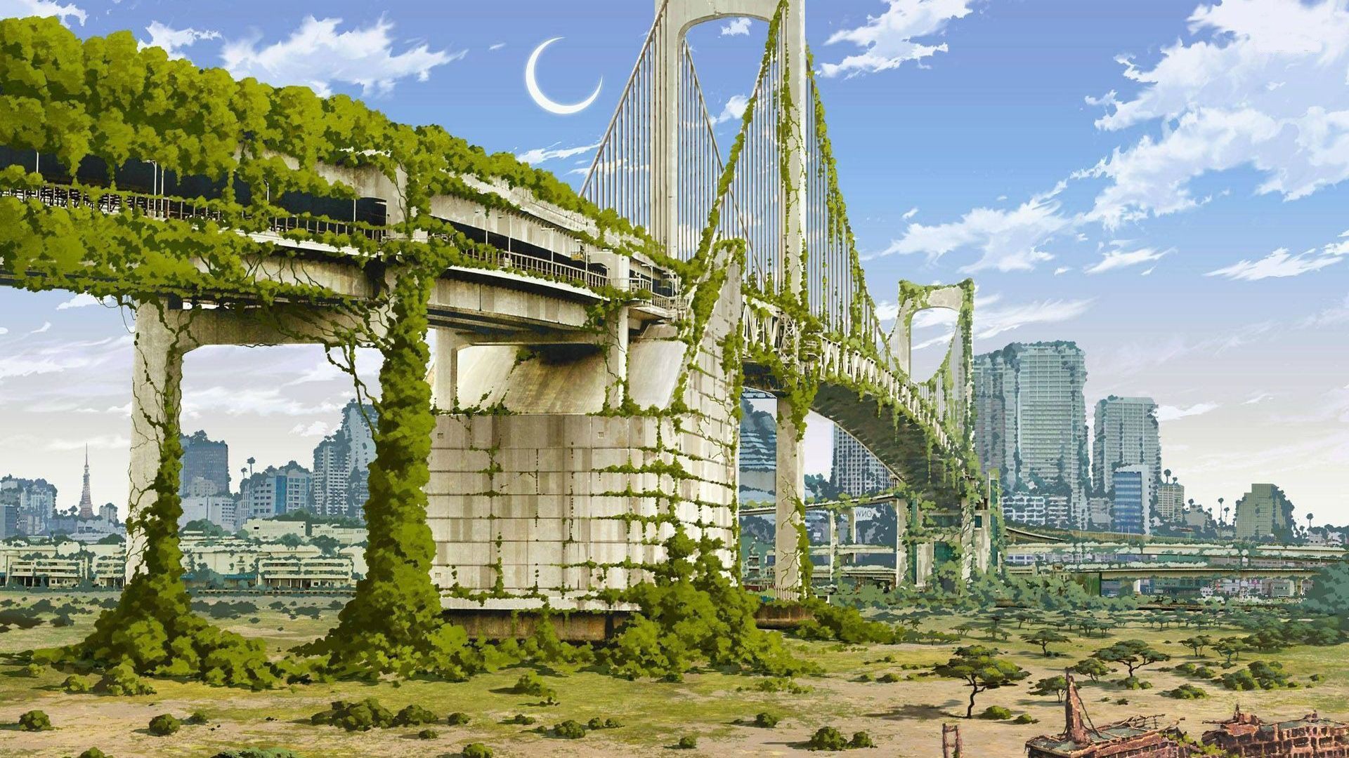 Bridge in New York City overgrown greenery Desktop wallpaper 1440x900