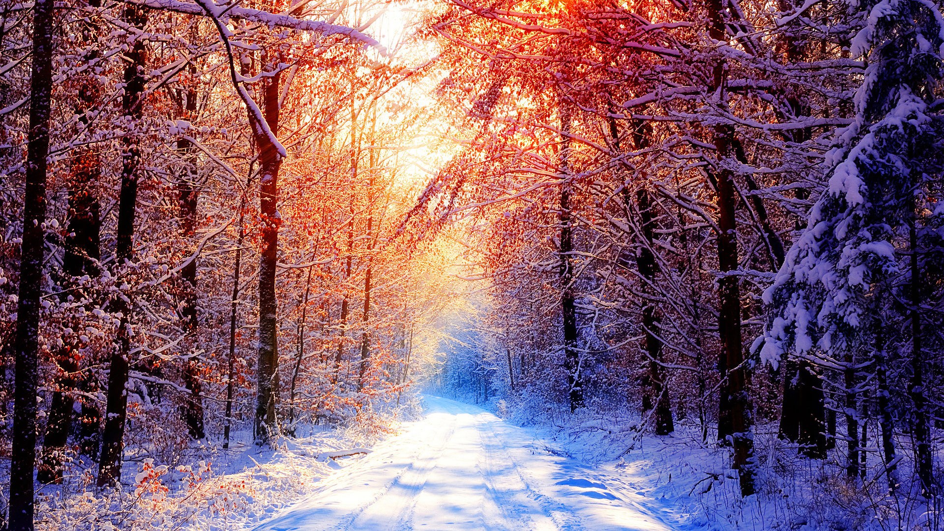 HD nature winter wallpaper background 1920x1080 Gallery HD Wallpaper