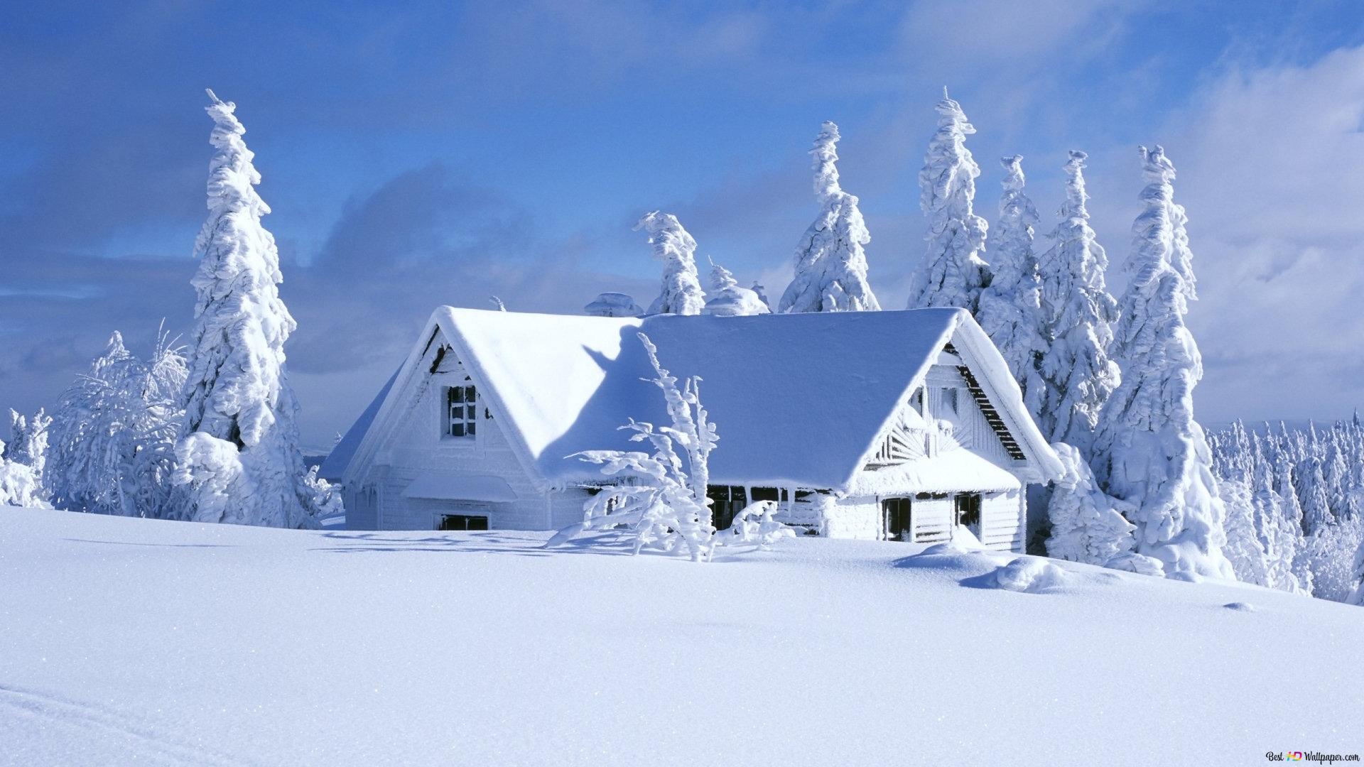 Snow Covered House In The Middle Of The Woods HD Wallpaper Download