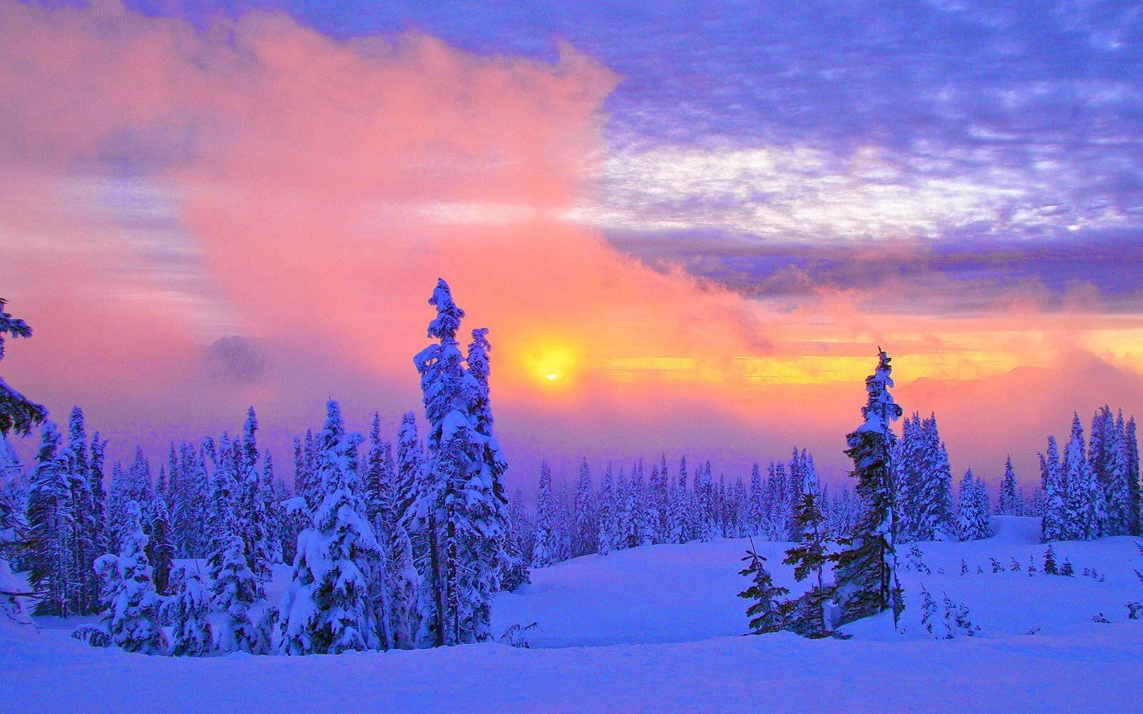 Download Pastel Sunset Winter Scenery Wallpaper