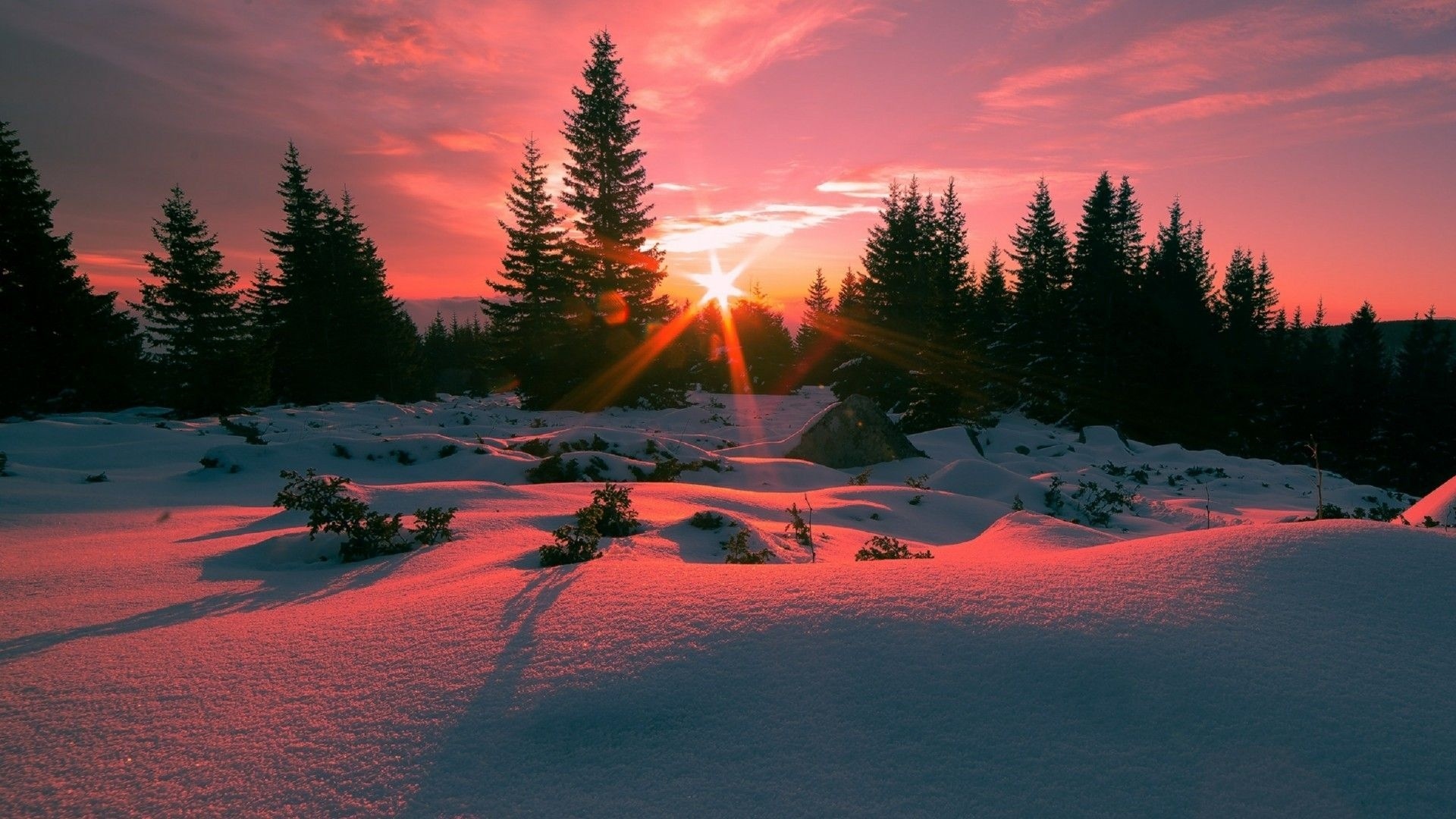 winter sunset evening HD Wallpaper