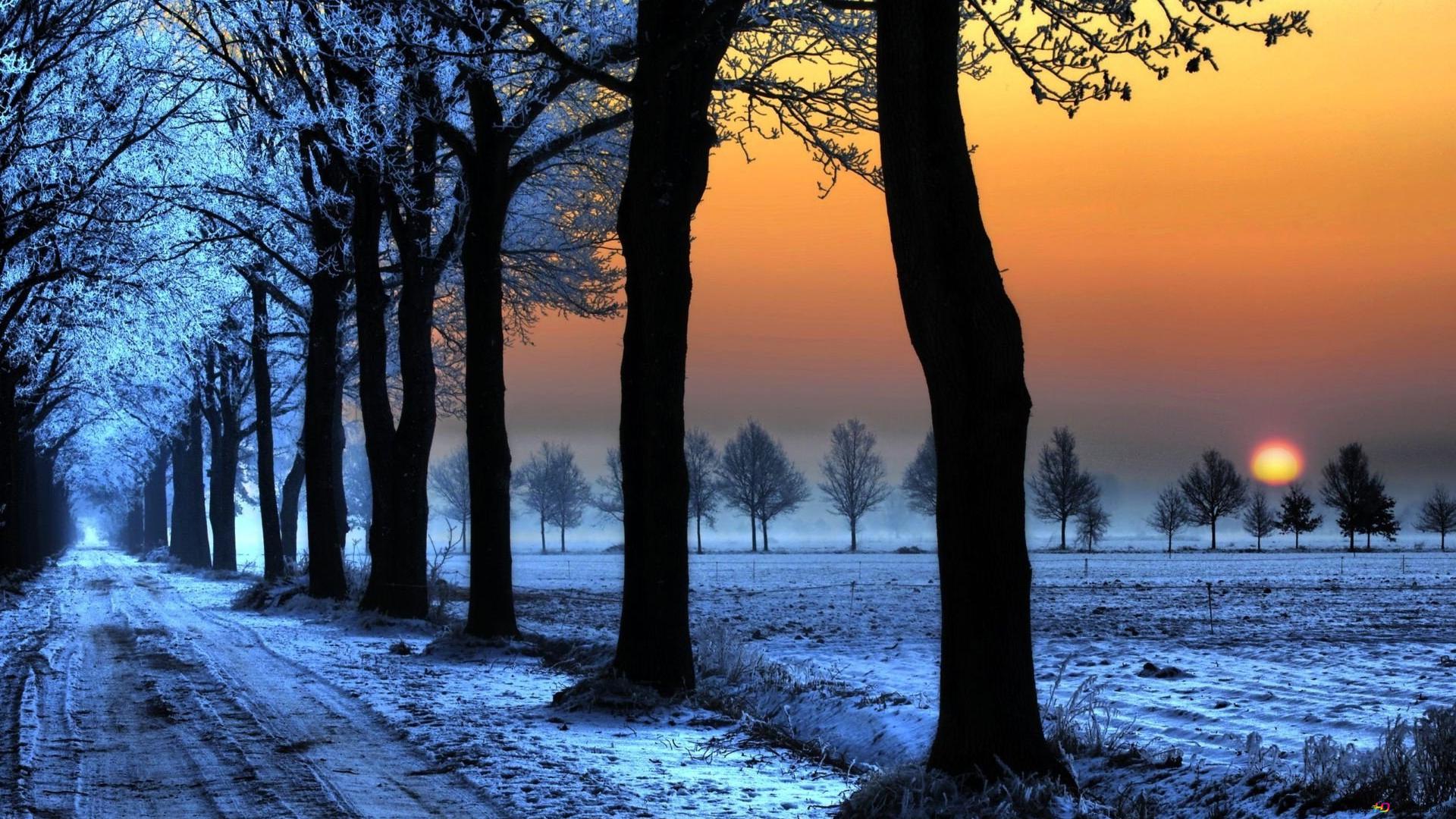 Sunset in winter season HD wallpaper download