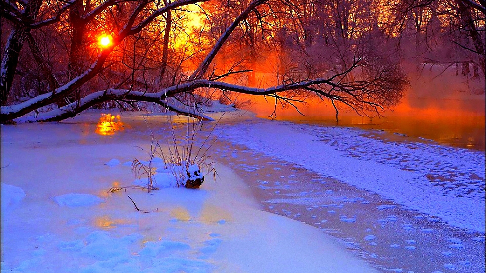 Download Wallpaper 1920x1080 winter, sunset, evening, branches, tree, pond, cold, snow Full HD 1080p HD Background
