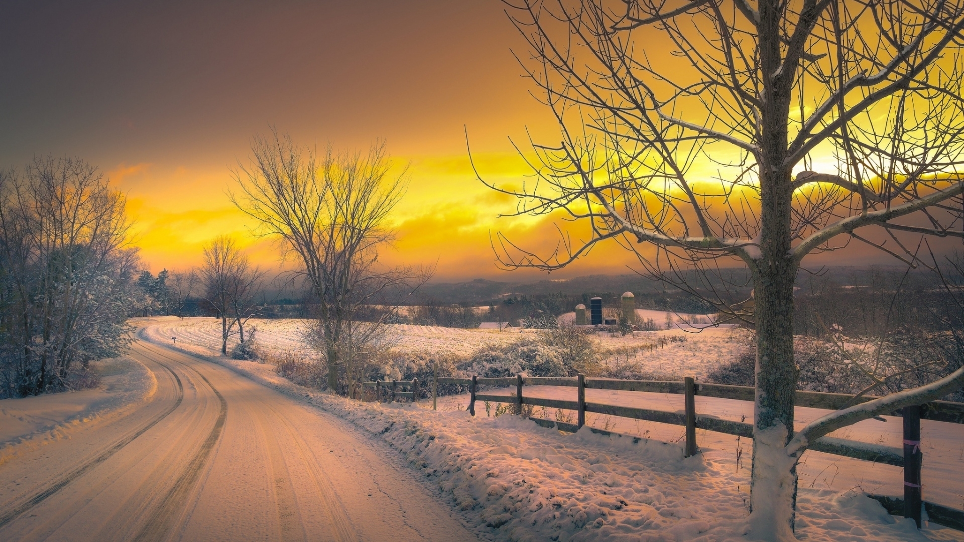 Wallpaper / trees, snow, sunset, winter, road free download