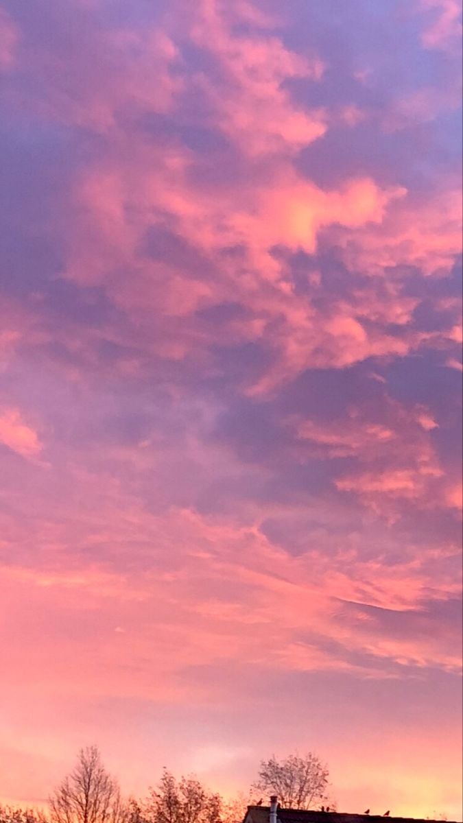 pink sky skies air picture photo purple orange sunset sunrise. Pink clouds sky, Pastel sky, Pink sky