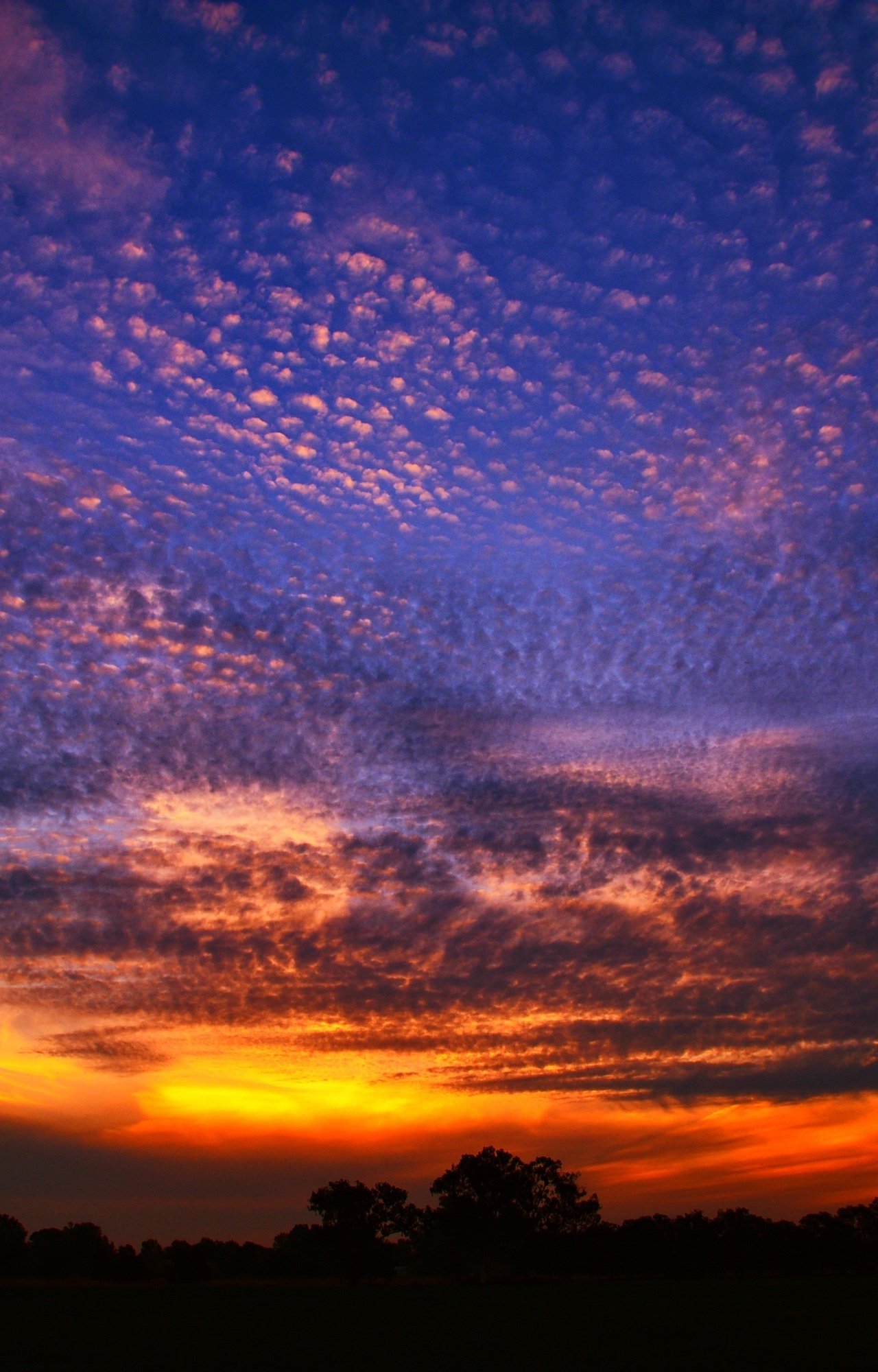 Download wallpaper 1280x2120 sunset, clouds, blue orange sky, iphone 6 plus, 1280x2120 HD background, 4923