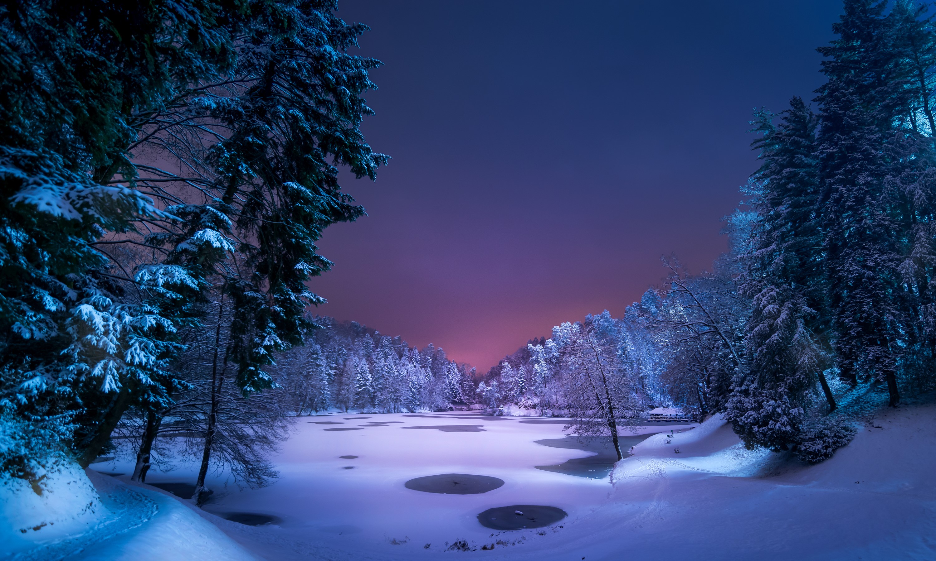 Winter, Snow, Spruce, Night, Trees Gallery HD Wallpaper