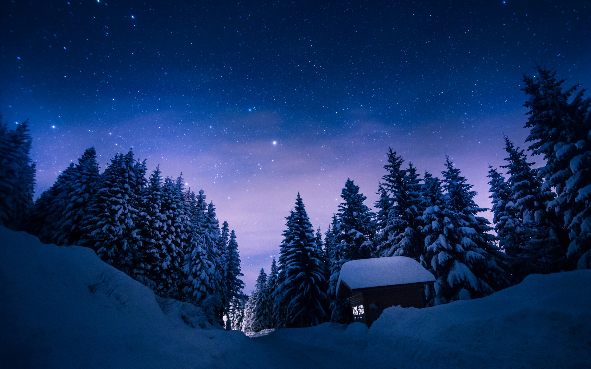 Wallpaper, nature, winter, snow, night, stars, trees, forest, cabin, path 1920x1200