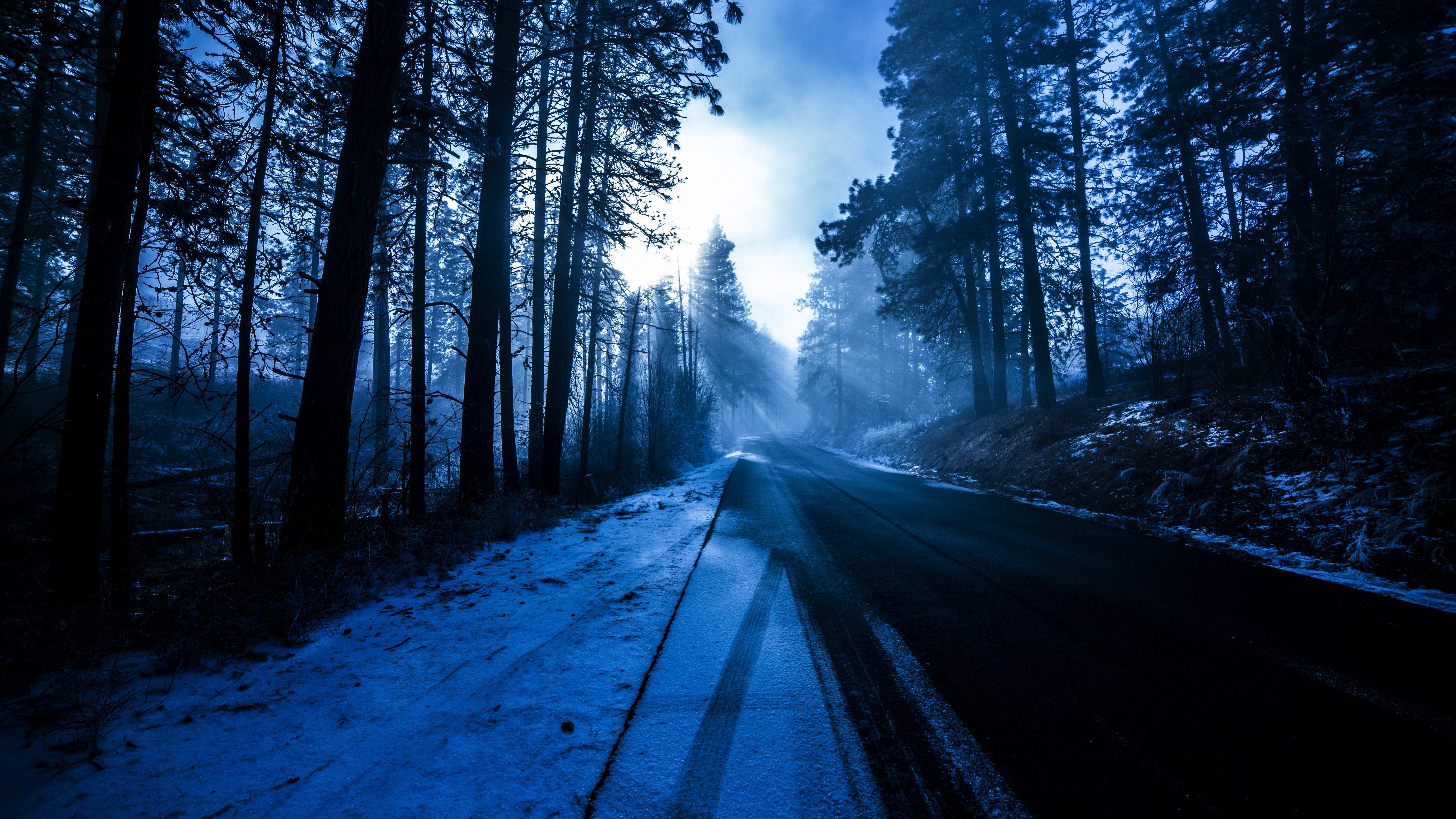 Winter on a Forest Road 4K wallpaper