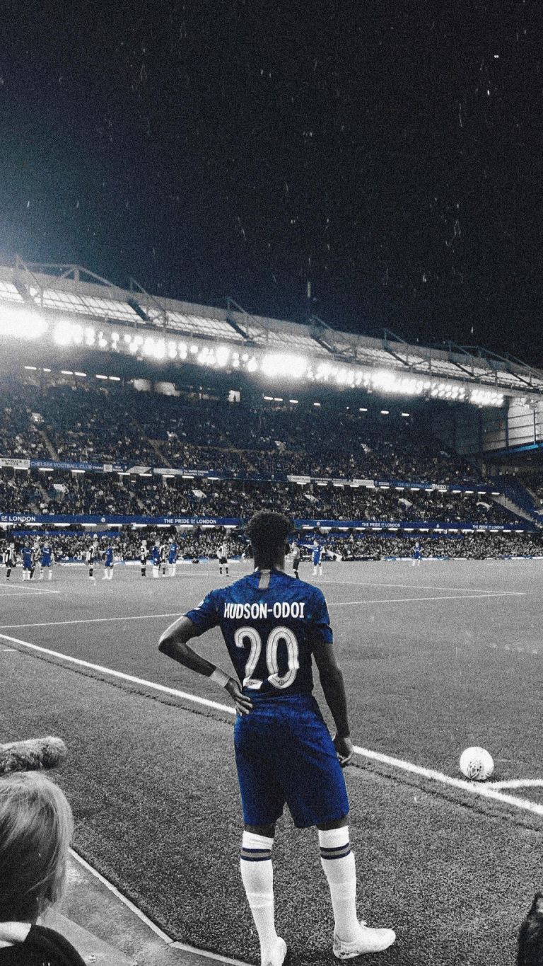 Images): Fan creates plush new collection of 8 Chelsea wallpaper Chelsea News