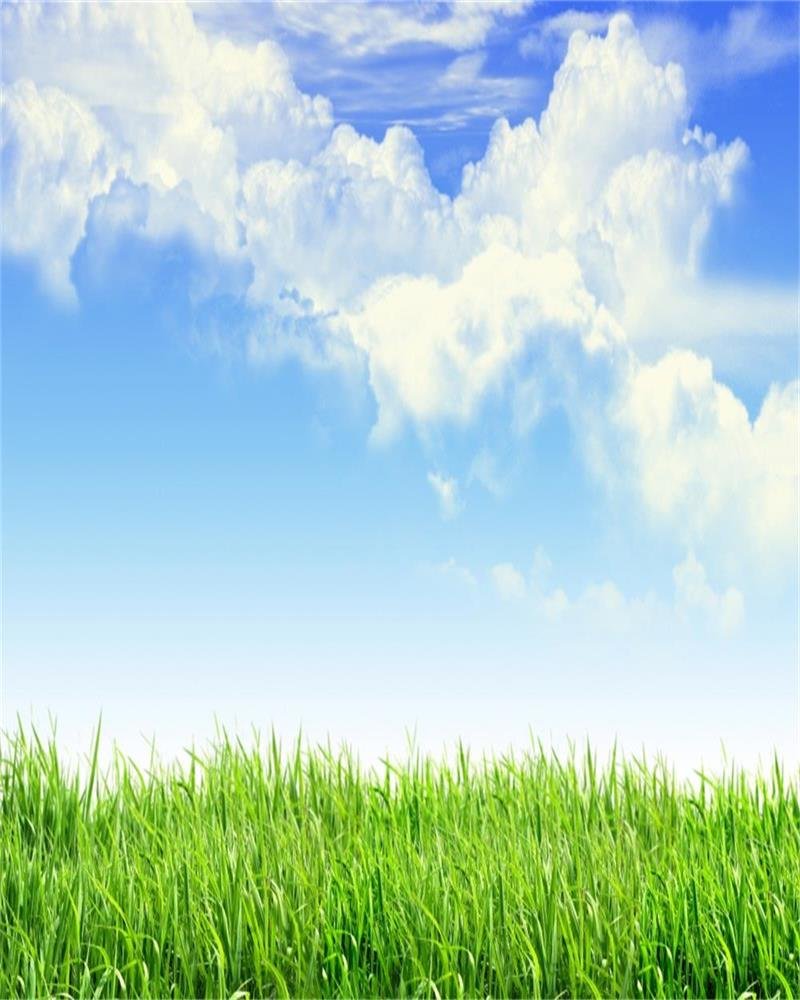 Amazon.com, AOFOTO 8x10ft Blue Sky Spring Meadow Backdrop Green Grass Lawn Photography Background Outdoor Nature Scenery Easter Decoration Kid Baby Adult Boy Girl Artistic Portrait Photo Studio Props Wallpaper