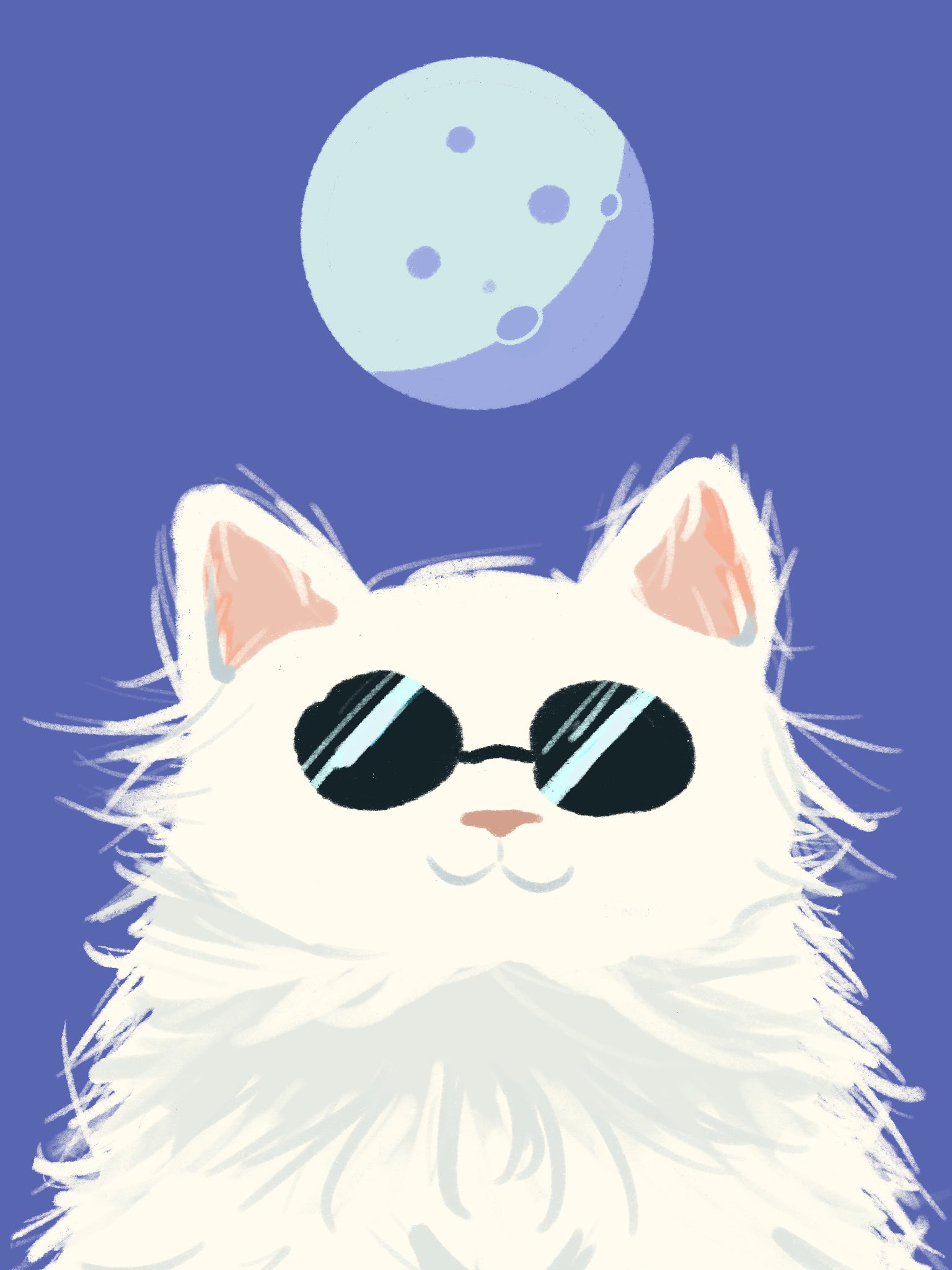 Gojo Cat Wallpapers Wallpaper Cave